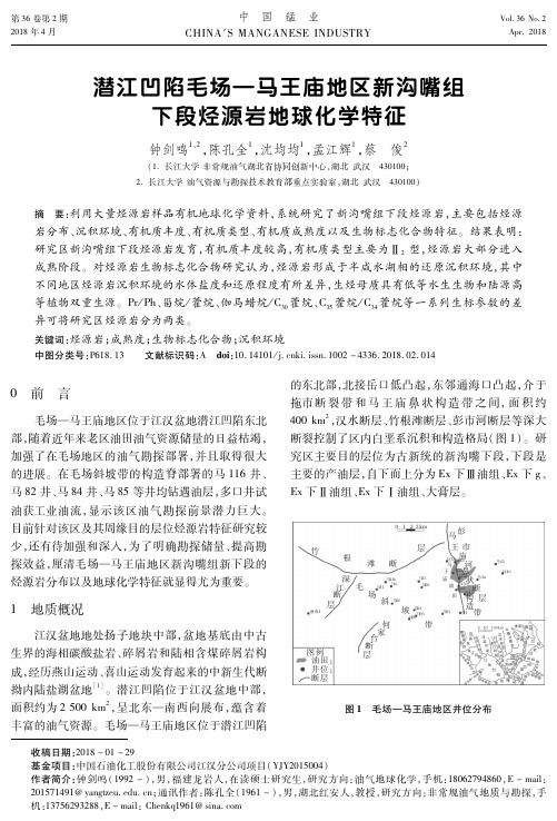 潜江凹陷毛场—马王庙地区新沟嘴组下段烃源岩地球化学特征