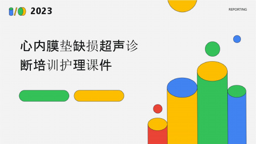 心内膜垫缺损超声诊断培训护理课件