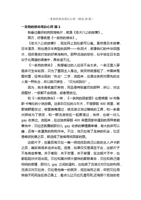 一条狗的使命观后心得（精选10篇）