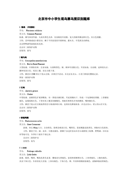 北京市中小学生观鸟赛鸟图识别题库