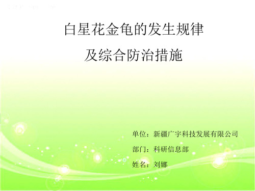 白星花金龟的发生