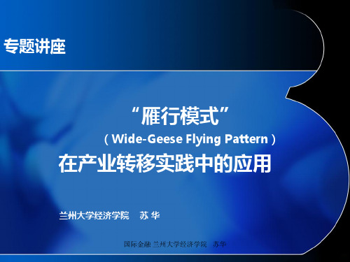 雁形模式讲座PPT课件