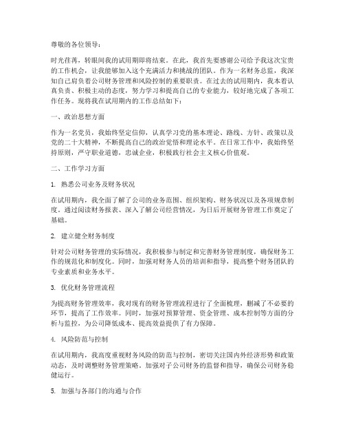 财务总监试用期满个人工作总结
