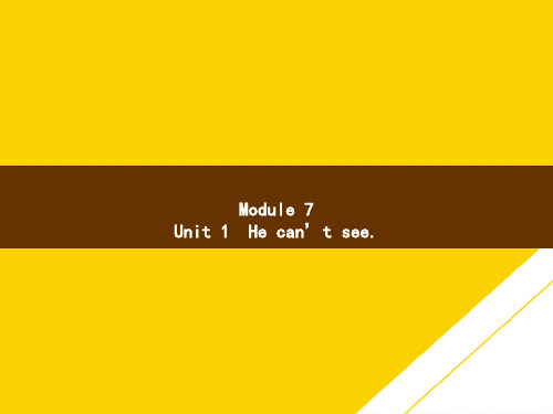 五级上册英语课件-Module Unit He can’t see ∣外研社ppt资料