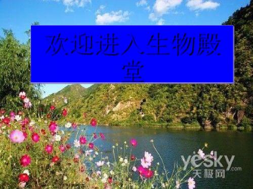 生物对环境的适应与作用PPT课件