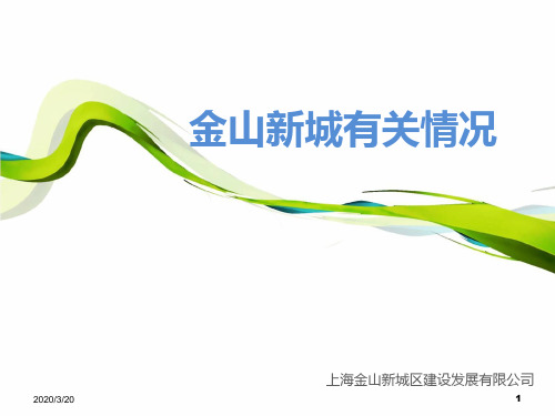 金山新城情况PPT课件