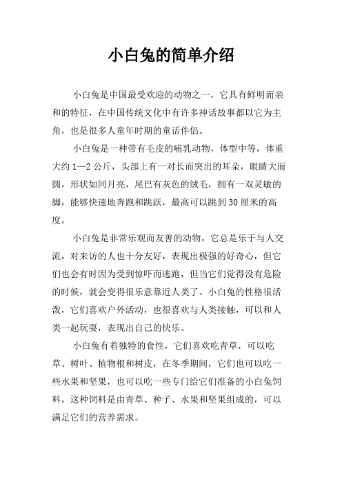 小白兔的简单介绍