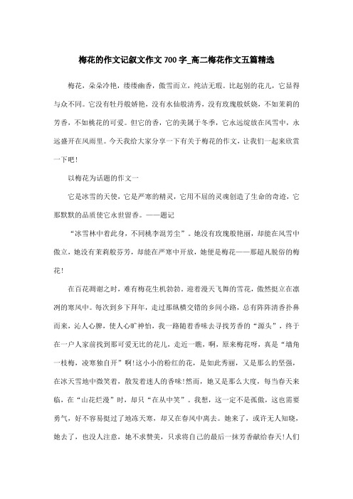 梅花的作文记叙文作文700字_高二梅花作文五篇精选