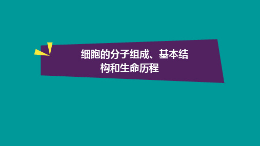 细胞的分子组成、基本结构