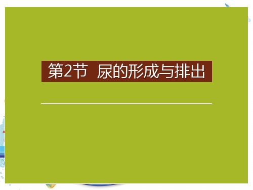 人教版《尿的形成与排出》[3]优秀PPT课件