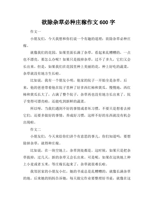 欲除杂草必种庄稼作文600字