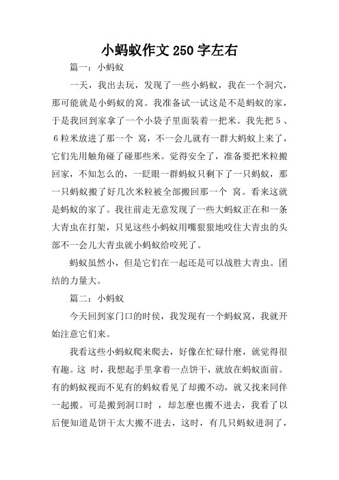 小蚂蚁作文250字左右