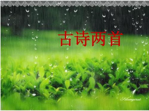 二下1.古诗两首《春雨》《春晓》