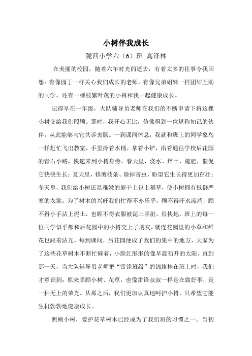 小树伴我成长
