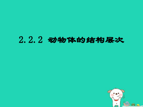(人教版)动物体的结构层次PPT课件2