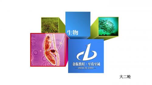 《金版教程》2018-2019高考生物大二轮复习课件：1-8-1微生物的利用及生物技术在食品加工中的应用