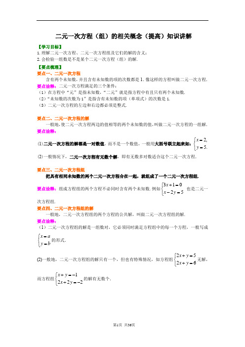 二元一次方程全章知识讲义加练习