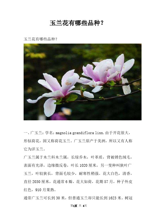 玉兰花有哪些品种？