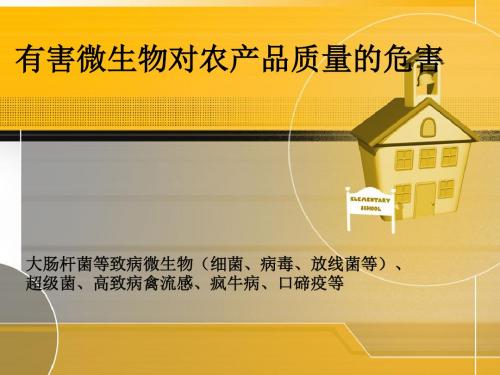 农产品质量安全微生物的危害PPT课件