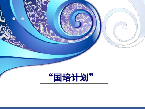 国培计划PPT