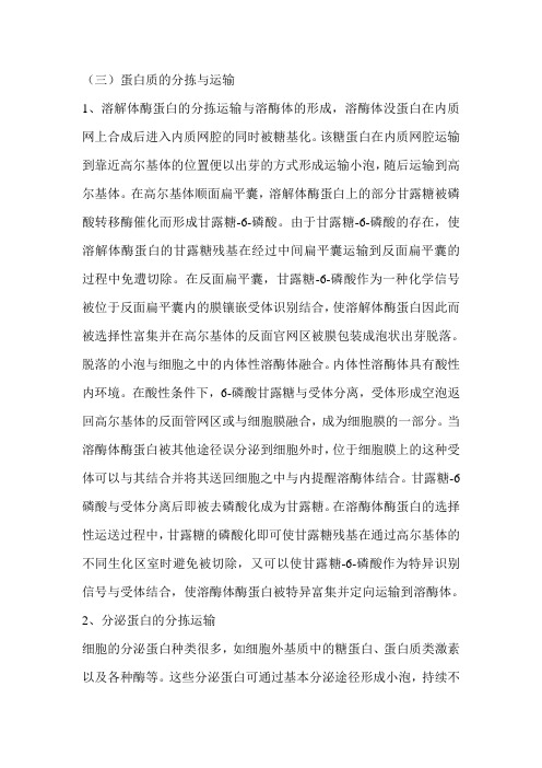 蛋白质的分拣与运输