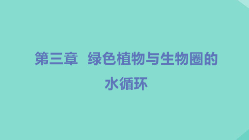 七年级生物上册-绿色植物与生物圈的水循环教学课件新版新人教版