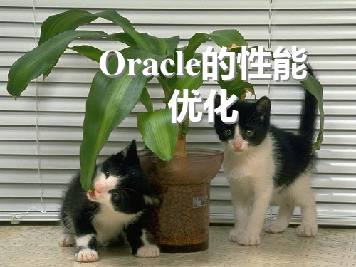 第09章Oracle的性能优化