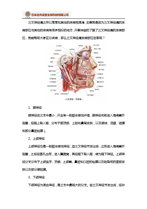 三叉神经痛发病部位是哪？