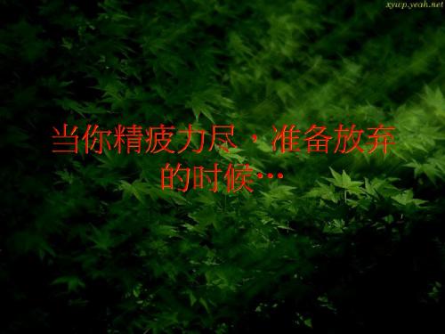 新员工培训--职业素质