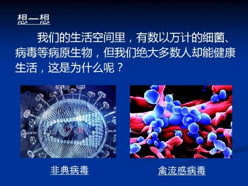 人体的免疫防御ppt