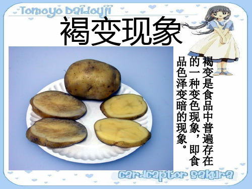 酶促褐变
