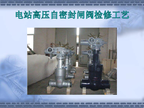 电站高压自密封阀门检修工艺