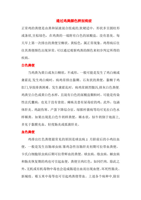 通过鸡的粪便颜色辨别疾病