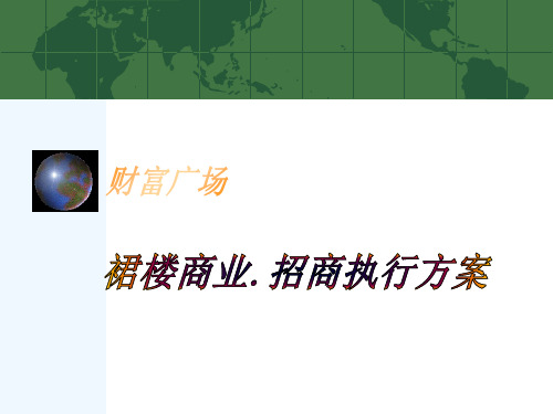 某广场招商执行方案