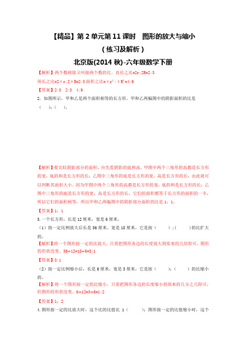 第2单元第11课时 图形的放大与缩小(练习及解析)北京版-六年级数学下册