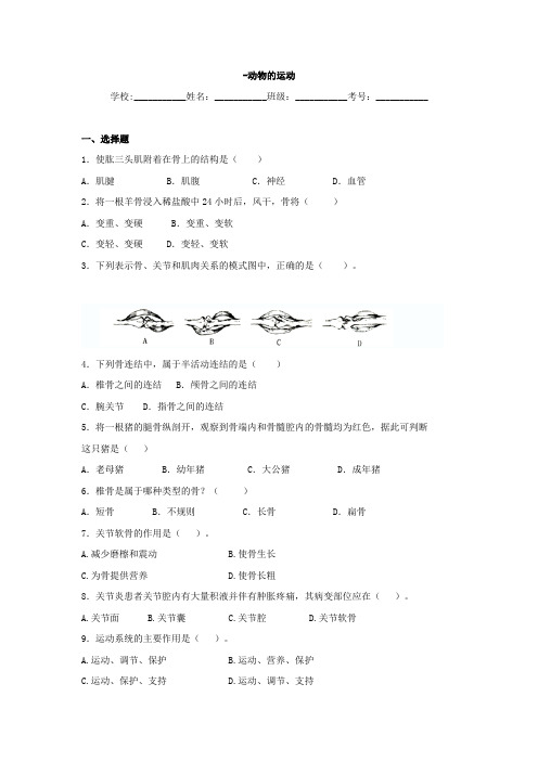 中考生物专题训练：《动物的运动》(含真题及解析)