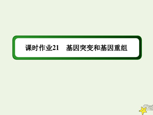 高考生物一轮复习第七单元生物的变异育种和进化第21讲基因突变和基因重组课时作业课件新人教版