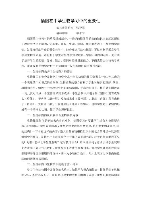 插图在中学生物学习中的重要性