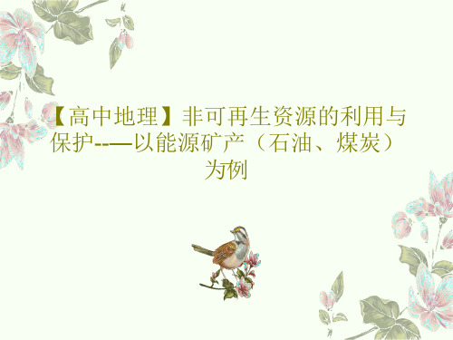 【高中地理】非可再生资源的利用与保护--—以能源矿产(石油、煤炭)为例共39页文档
