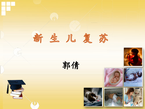 新生儿复苏PPT课件