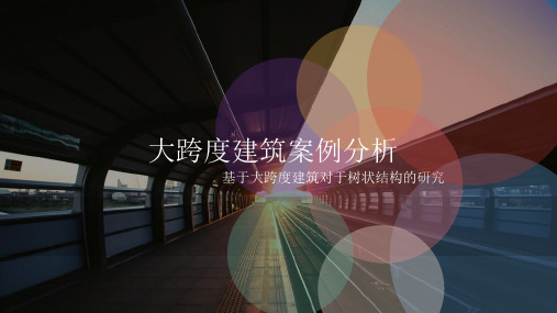 基于大跨度建筑对于树状结构的研究