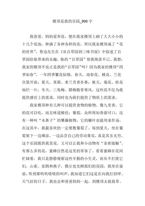 楼顶是我的乐园_900字