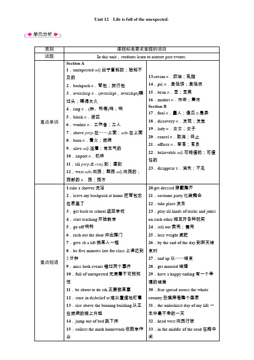九年级下册语文教案 精英新课堂  考点精讲 (25)