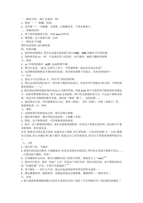金丝熊的饲养