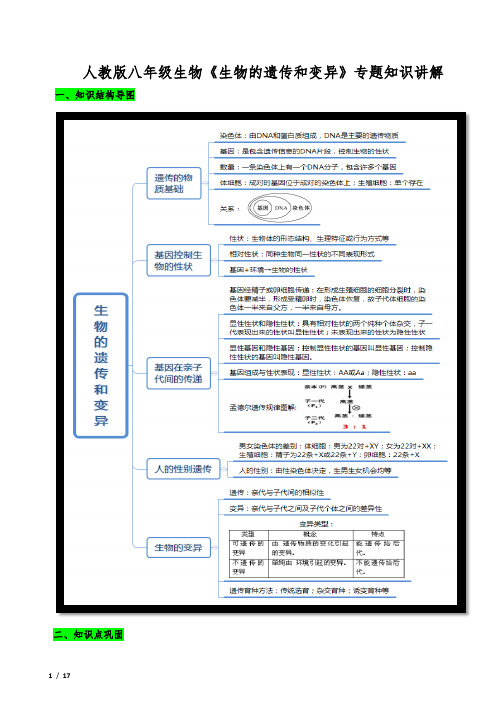 人教版八年级生物《生物的遗传和变异》专题知识讲解