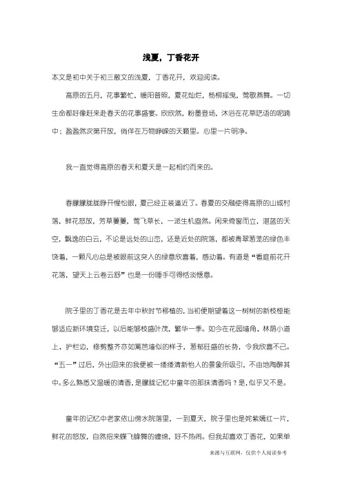 初三散文：浅夏,丁香花开