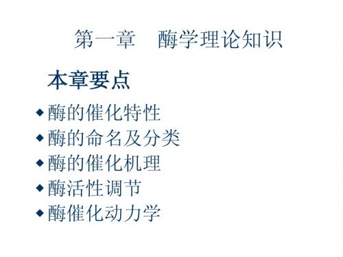 第1章 酶学理论知识