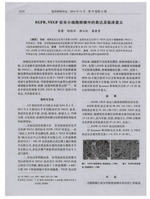 EGFR、VEGF在非小细胞肺癌中的表达及临床意义