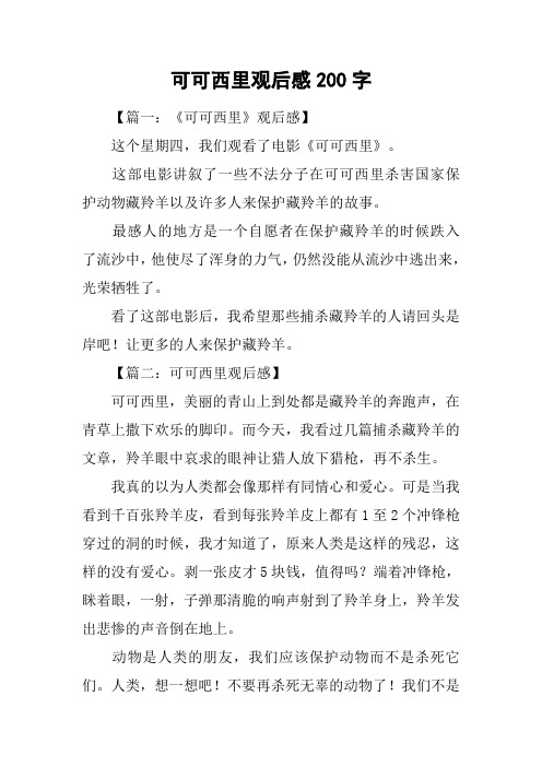 可可西里观后感200字