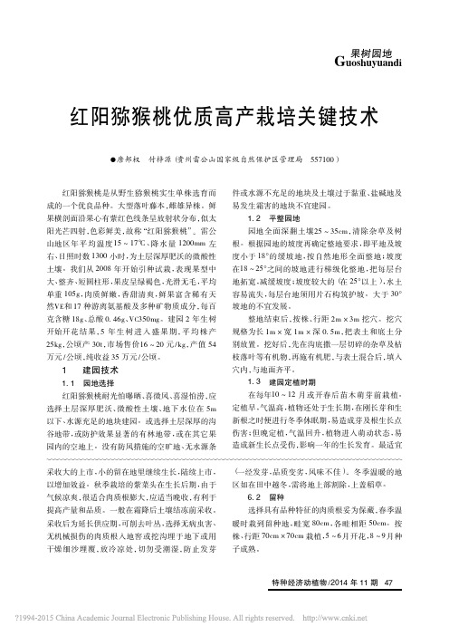 红阳猕猴桃优质高产栽培关键技术